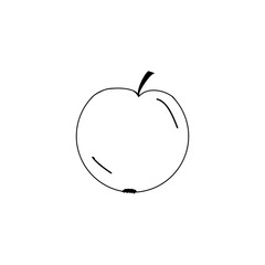 apple, sketch of a vector drawing, isolated on a white background. a collection of fruits
