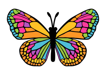 colourful butterfly vector