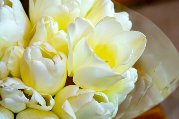 White tulips boquet, soft focus