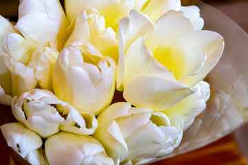 Obraz premium White tulips boquet, soft focus