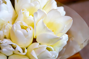Obraz na płótnie Canvas White tulips boquet, soft focus