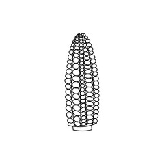 corn, sketch vector illustration, isolated on a white background. collection of vegetables