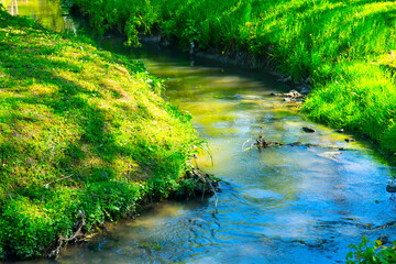 Scenic view at beautiful spring on a shiny river valley with green branches, trees, bushes, grass,...