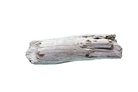 troncos, secos, madera