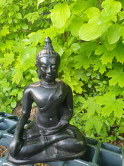 Buddha in der Natur