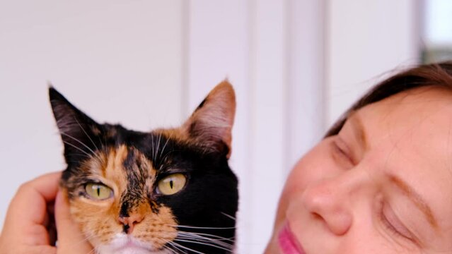 woman affectionately brings her face closer to beautiful three colors adult domestic tortoiseshell cat with white breast, relations between four-legged pets and people, beloved cat, friendship