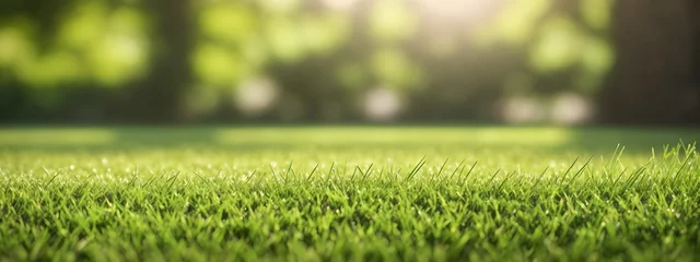 Fotobehang Green lawn with fresh grass outdoors. Nature spring grass background texture.  Generative AI © 360VP