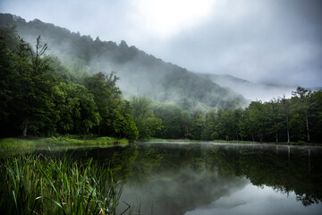 Foggy lake view with trees.Armenia