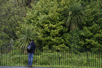 person walking in the park