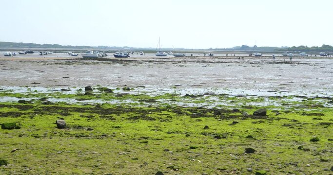 Some small boats at low tide in front of Kercabellec. Mesquer, France, May 2023.