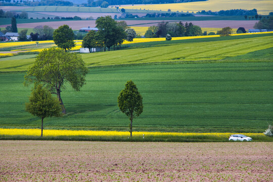 Rapsfelder im Frühjahr - Aufnahme aus dem Weserbergland 
