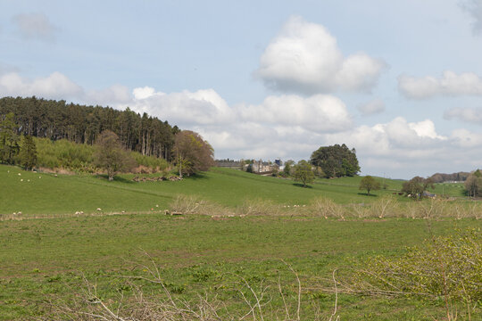 Scottish countryside, Scottish Boarders, Peebles, UK