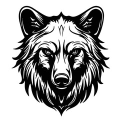 illustration of a Bear