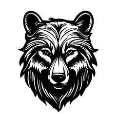 illustration of a Bear