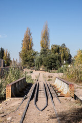 railway in the woods