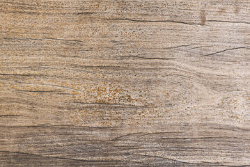 Obraz premium An unvarnished wooden surface with many grains