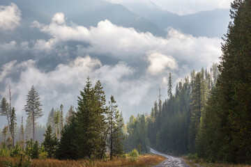 Fog in mountains