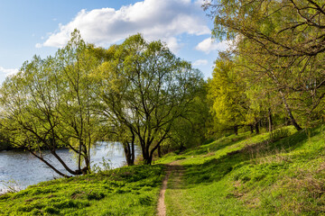 Fototapeta na wymiar Picturesque green landscape of the river bank on a May day
