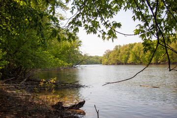 Overhanding trees framing the flowing river