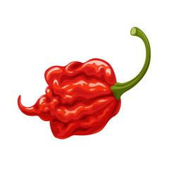 Vector illustration, Carolina Reaper chili pepper, isolated on white background.