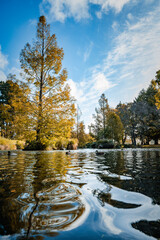 Winter at Jellie Park in Christchurch