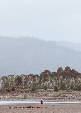 SUR CHILENO, PARQUE NACIONAL CONGUILLIO