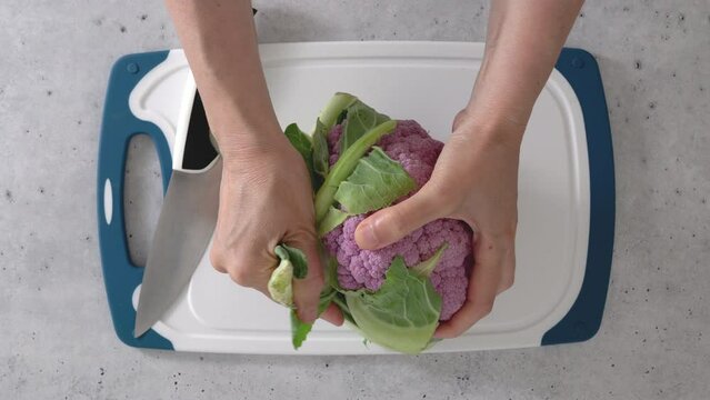 Woman devided purple cauliflower into florets, the cooking process, view from above. 