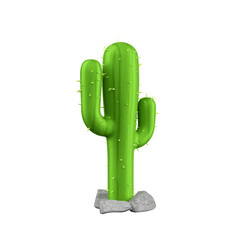 Cactus realista isolado