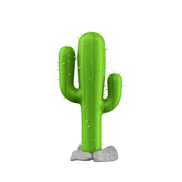 Cactus realista isolado