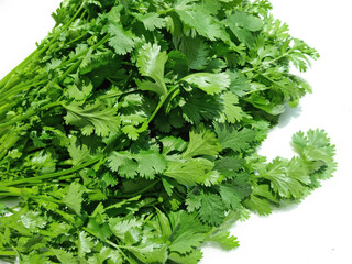 Coriander on a white background.