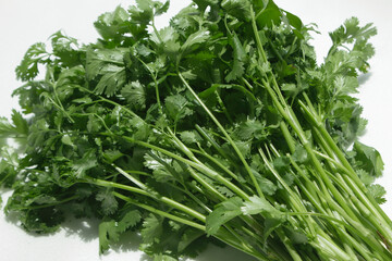 Coriander on a white background.