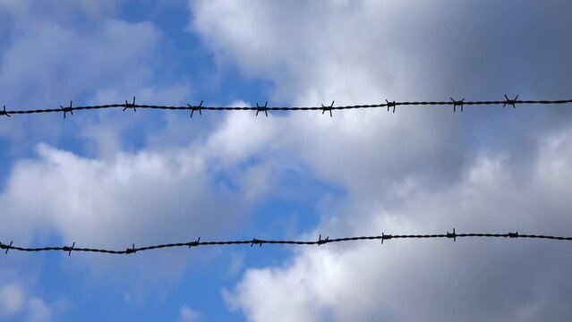 Close-up detail of a metal barbed wire fence isolated against the background of the sky. 