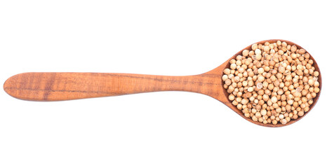 Coriander seeds isolated transparent png