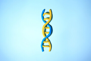 DNA molecule model made of colorful plasticine on light blue background, top view