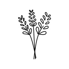 Fototapeta premium Plant