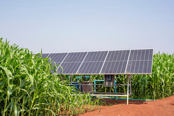 Solar panels for irrigation systems in farmer's corn fields in countryside of Thailand