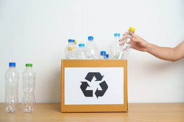Volunteer keep plastic bottle into paper box at home or office. Hand Sorting Recycle garbage. Ecology, Environmental, pollution, Dispose recycling, waste management and trash Separation concept