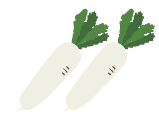 かわいい2本の大根／手描きイラスト素材