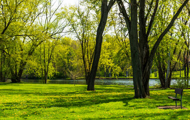 A wooden park bench in Betts Park with the Allegheny River in the background on a sunny spring day