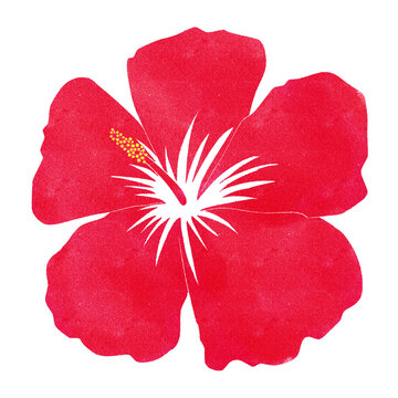 Red hibiscus flower clip art PNG