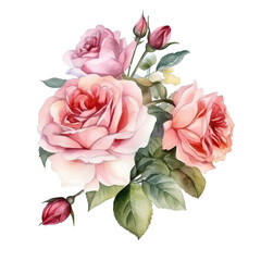 bouquet of roses in the style of romantic watercolor isolated on a transparent background