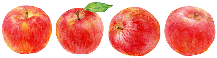 さまざまなリンゴの実の水彩画イラスト　素材集