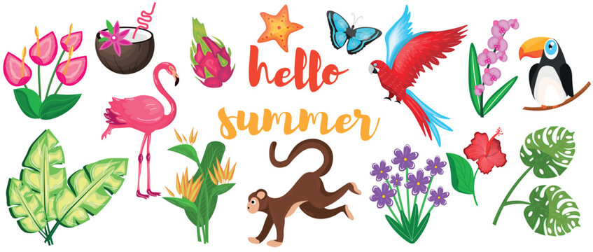Set of tropical plants and animals on white background. Hello, summer