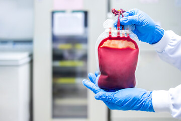 Leukocyte poor pack red cell in transfusion bag on a tray inside blood bank.Blank or empty space no...