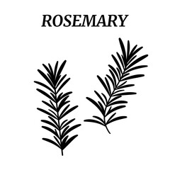 Rosemary plant black and white vector icon