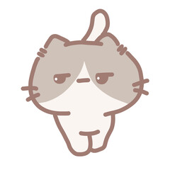 salmon is cat