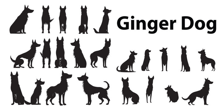 A set of black ginger dogs vector illustrations.