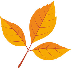 Obraz premium plant leaves 17