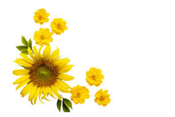 yellow flowers sunflowers, cosmos arrangement flat lay postcard style