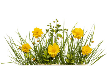 yellow flower cosmos with grass arrangement flat lay style 